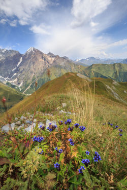 rivermusic: Great Caucasus Ridge from the Zagyar pass by Pavel