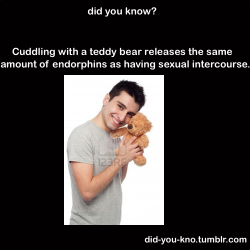 misshealthgeek:  Source know we know where pedo bear comes from.