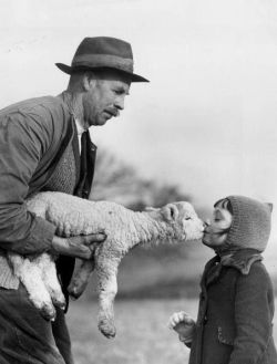  Kiss From A Lamb, Ist January, 1939 