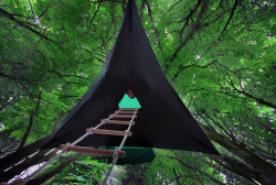 ddemonicc:  awkwardsituationist:  tensile stingray tents are