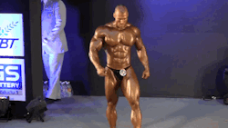 aestheticsinmotion:  Noted perfect specimen, Péter Molnár 