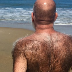 papillon52: maxhair: Beach back Very Hairy Sexy Back 