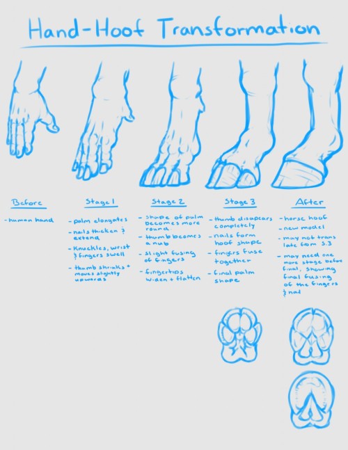 transform-mania:  Anatomy of a hoof TF (unknown source) 