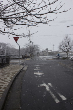 felixjapan: it was snowing today in kyoto! 