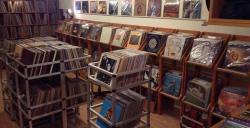 Chico Vinyl, Beirut.