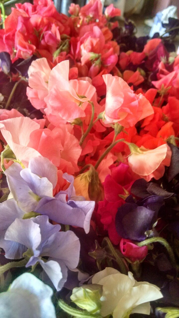 tumblr photo