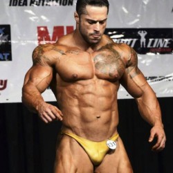 drwannabe:  Bruno Moraes Cunha  Muscular, sexy, great pecs and