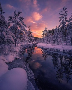 amazinglybeautifulphotography:  Winter sunset in Telemark, Norway.