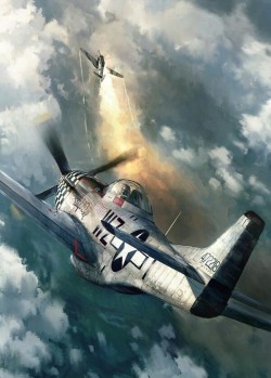 doyoulikevintage: P51 mustang 