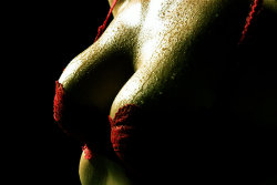 Red detail by culpa1 