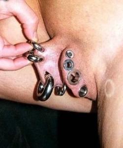 pussymodsgalore  Stretched outer labia with eight large piercings,