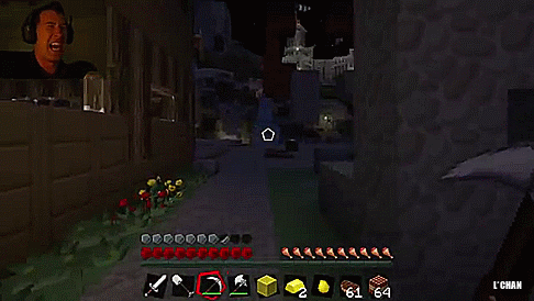 lissachan504:  Drunk Minecraft   looks like a donkey laughing