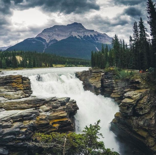 lushgreen:  via instagram