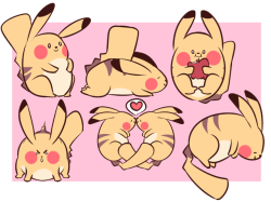 robinaa:fat pikachu forever, baby