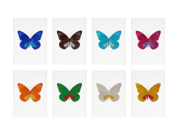 mentaltimetraveller: Damien Hirst  