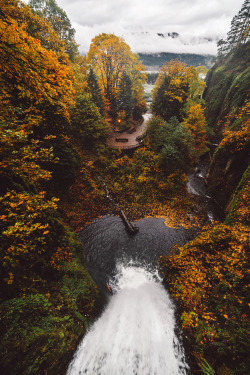 brianstowell:  Autumn & Winter at Multnomah Falls, Oregon.