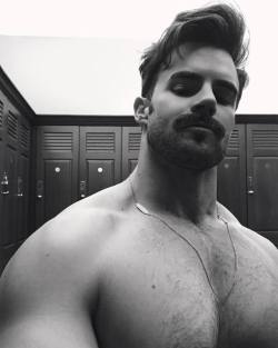 Eyes and pecs.