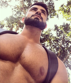 nicephysiques:  @modtlv