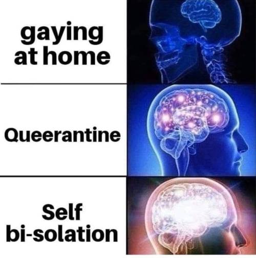 gay-irl:  bi🧠irl