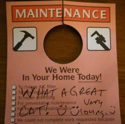 kittendrumstick:  A maintenance person came to fix some caulking