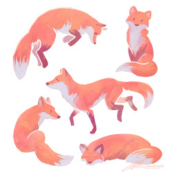 jo3mm:  zandraart:  some foxes   @pocketsizedkitsune