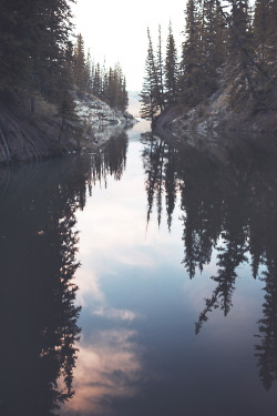 chocolatecakesandthickmilkshakes:  Water water everywhere.