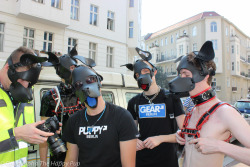 Human pups out and about “walkies” at Folsom BerlinYou can
