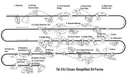taichishop:  Very detailed Step Diagram of Tai Chi Chuan 24 Forms!