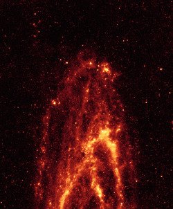 un-cerebro-hambriento:  astronomicalwonders:  Andromeda in Infrared