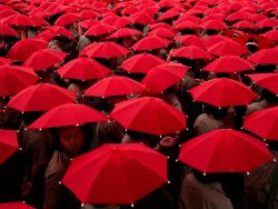 wrotten:  Schoolchildren with Umbrellas in Taiwan by Jodi Cobb,