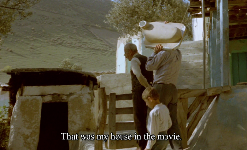 365filmsbyauroranocte:  And Life Goes On… (Abbas Kiarostami,