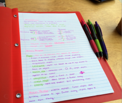 theperfectionistdiaries:  Good Notetaking This is the system