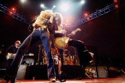 twpunk:  Led Zeppelin, Los Angeles, CA 1975 | (via Morrison Hotel)