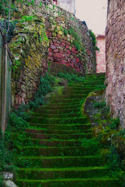 bluepueblo:  Moss Stairs, Sardinia, Italy photo via steph 