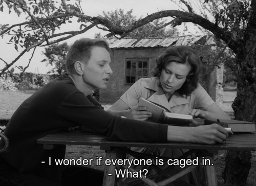 killedbydeath:   Through a Glass Darkly (1961) dir. Ingmar Bergman