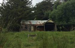 abandonedandurbex:  Decaying house near Little River, Banks Peninsula,