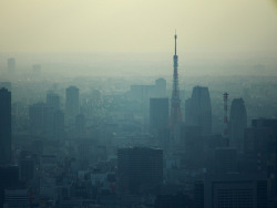 dreams-of-japan:  Tokyo Landscape #5. Foggy Tokyo Tower. by Simon*N