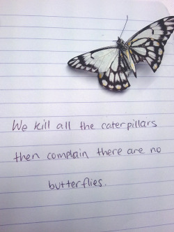 neonlit:  neonlit:  We kill all the caterpillars, then complain