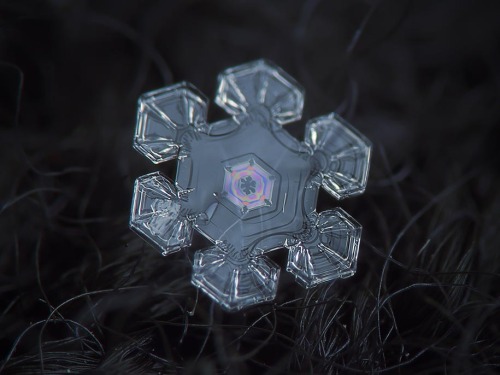 Fragile beauty
