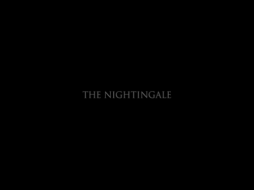 artfilmfan:  The Nightingale (Jennifer Kent, 2018) cinematography: Radek