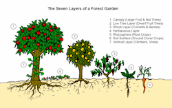 Permaculture Village