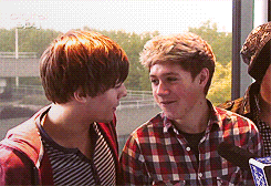 loustommos:   louis and niall being cute and looking at each