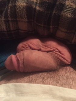 collegecub89:  A little bit of my soft cock for yall 