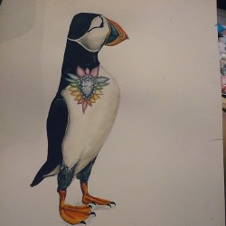 I painted him today   #painting #puffin #shourouk #watercolour