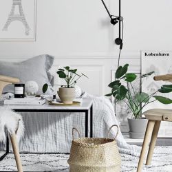 Via*** onlydecolove  