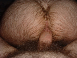 housebearsofatlanta:  I love a full Bush Hairy bear cock up my