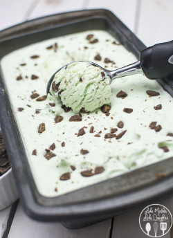 omg-yumtastic:  (Via: hoardingrecipes.tumblr.com) No Churn Mint