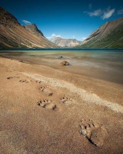 paulzizkaphoto:Flying back to the mythical Torngat Mountains