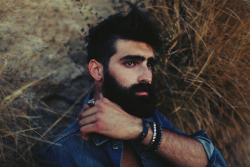 beardmodel:  joel alexander - Madison Dubé