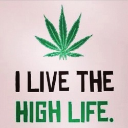 jnavarro420:  Yes I do. :)